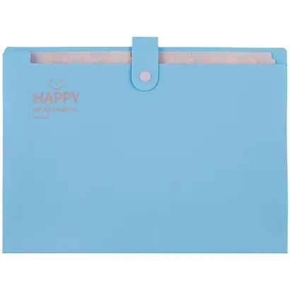 Папка на кнопке А4 12отд., ассорти - фото 6