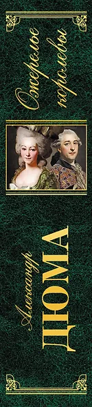 Ожерелье королевы : роман - фото 5