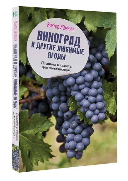 Виноград и другие любимые ягоды. Правила и советы для начинающих - фото 3