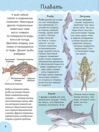 Животные. Детская иллюстрированная энциклопедия - фото 6