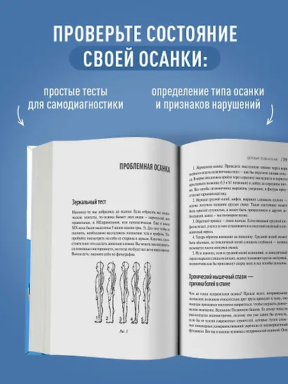 Здоровый позвоночник. Курс упражнений для поддержания осанки и избавления от боли - фото 6