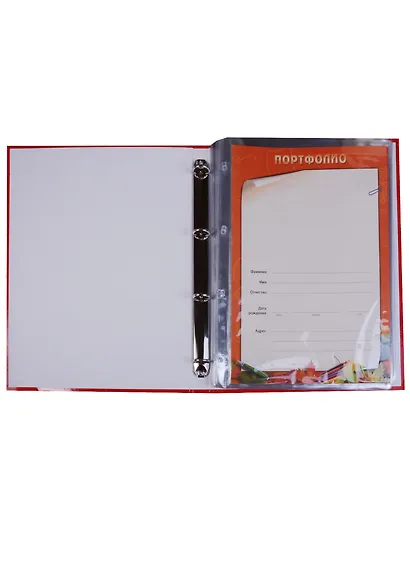 Портфолио школьника А4 - фото 4