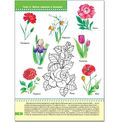 Я изучаю природу. Для занятий с детьми от 3 до 4 лет - фото 3