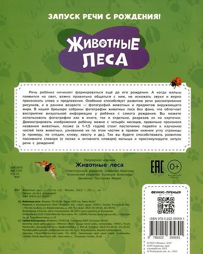 Животные леса - фото 2