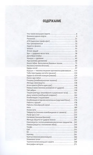Каратэ киокушин - фото 3