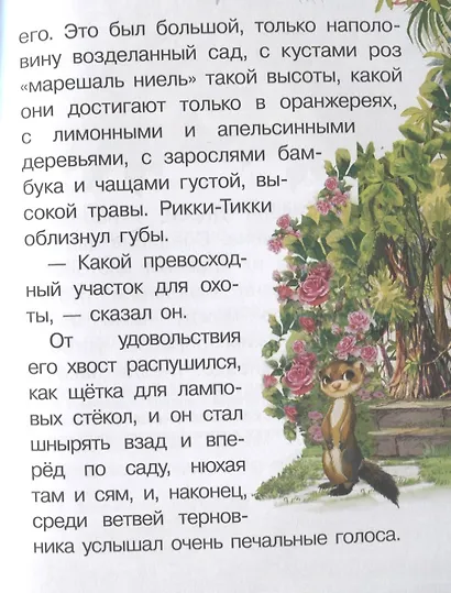 Рикки-Тикки-Тави - фото 5