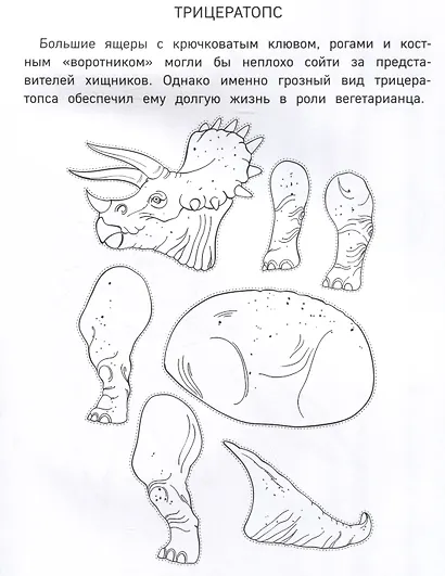 Бумажные динозавры. Вырежи, раскрась, играй. 12 готовых схем - фото 7