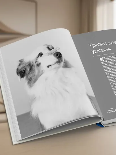 СОБАКА, которая УМЕЕТ ВСЕ. Пошаговое руководство по 118 удивительным трюкам - фото 10