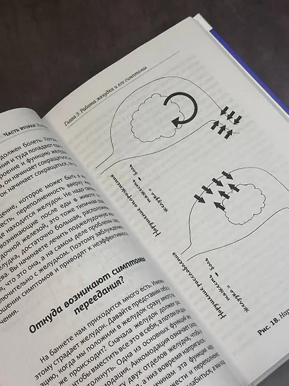 Гастро-книга: Пищеварение вдоль и поперек - фото 5