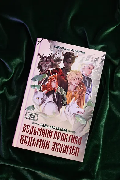 Ведьмина практика. Ведьмин экзамен. Дилогия в одном томе - фото 5