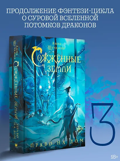 Сожженные земли. Право на дом - фото 3