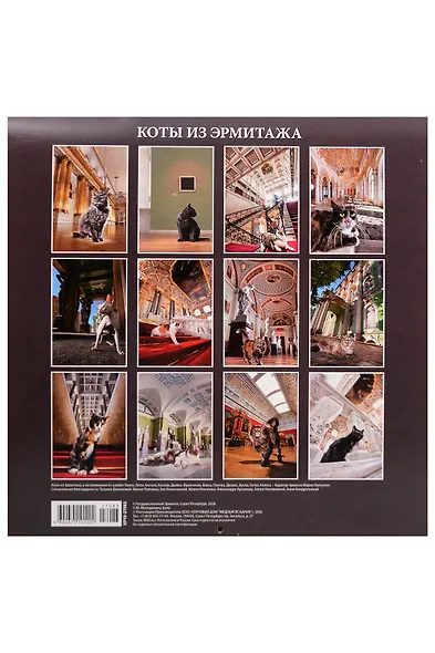 Календарь 2027г 300*300 СПб "Коты из Эрмитажа" настенный, на скрепке - фото 2