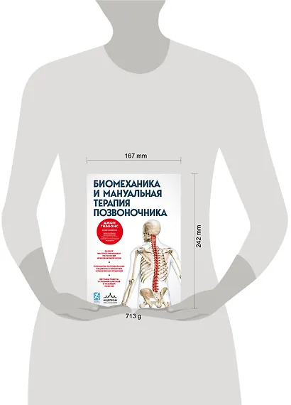 Биомеханика и мануальная терапия позвоночника - фото 4