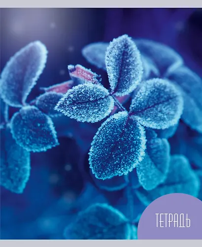 Тетрадь в клетку Listoff, "Красота природы", 48 листов, в ассортименте - фото 3