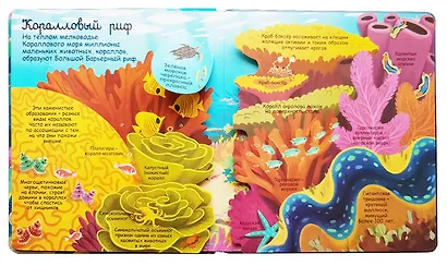 Секреты морей и океанов - фото 2