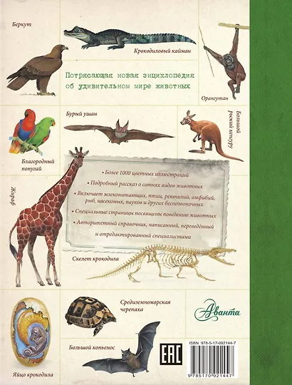 Животные. Детская энциклопедия - фото 2