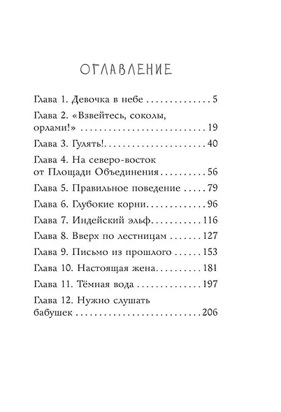 Моё индейское лето - фото 10