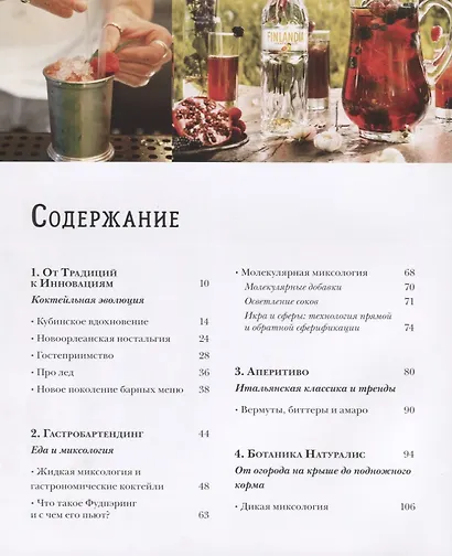 Гид продвинутого бартендера - фото 2