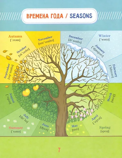 Настольная книга школьника. Английский язык - фото 5