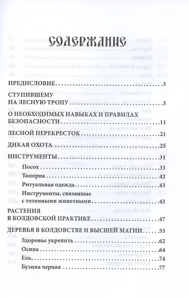 Русское чернокнижие. Часть III. Лесная тропа - фото 2