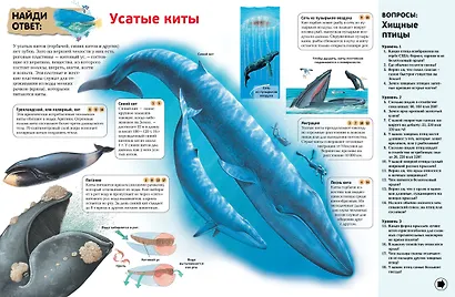 Интерактивная энциклопедия для школьников - фото 8