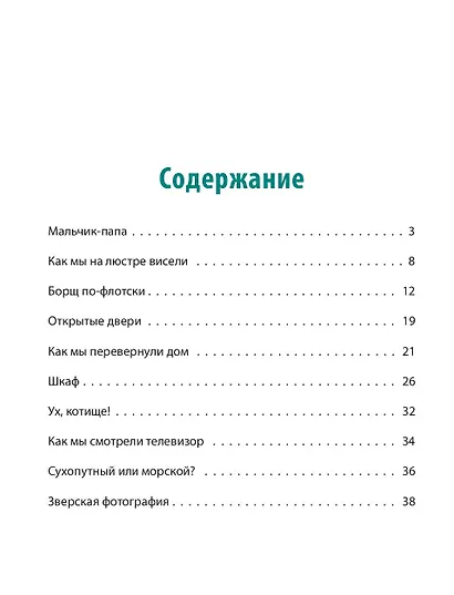 Как мы перевернули дом - фото 2