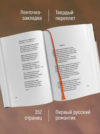 Стихотворения и баллады - фото 5