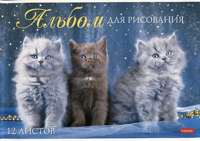 Альбом для рисования Hatber, "Мы любим котиков", А4, 12 листов, в ассортименте - фото 4