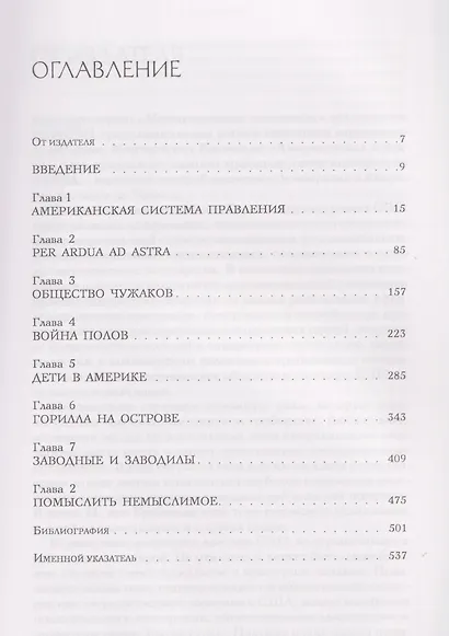 Американская загадка - фото 2