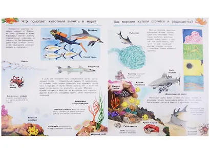 Что? Почему? Зачем? Мир морских животных (с волшебными окошками) - фото 3