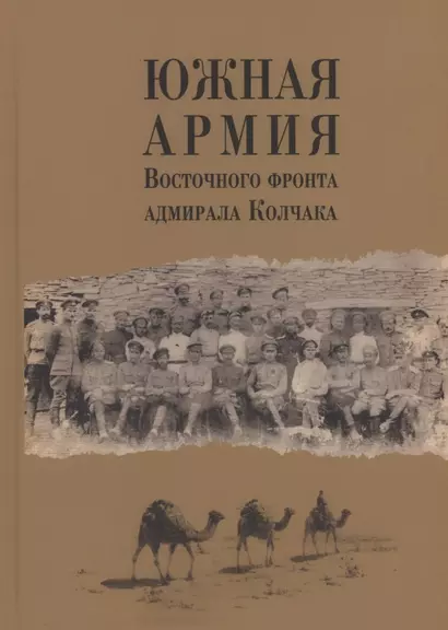 Южная армия Восточного фронта адмирала Колчака. Воспоминания, документы и материалы - фото 1