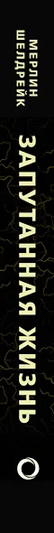 Запутанная жизнь. Как грибы меняют мир, сознание и будущее - фото 5