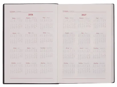 Ежедневник дат. 2026г. А5 176л "Тиволи" черный, кожзам, тв.переплет, тисн. фольгой, офсет, 3D-дизайн, справ.мат-лы, 2 ляссе, инд.уп - фото 5