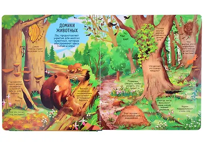 Секреты леса. Более 90 секретных створок - фото 4