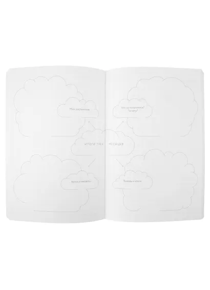 Visual planner: Цели. Мечты. Достижения. Ежедневник (ежевика) - фото 4