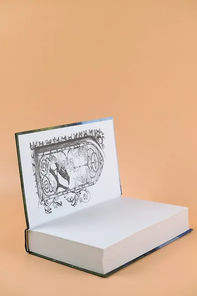 Эльфийский подменыш - фото 8