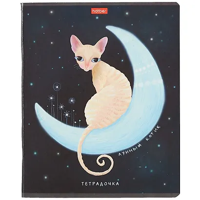 Тетрадь в клетку Hatber, "Звездные мечтатели", 48 листов, в ассортименте - фото 1
