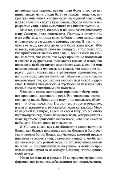 Египтянин - фото 7