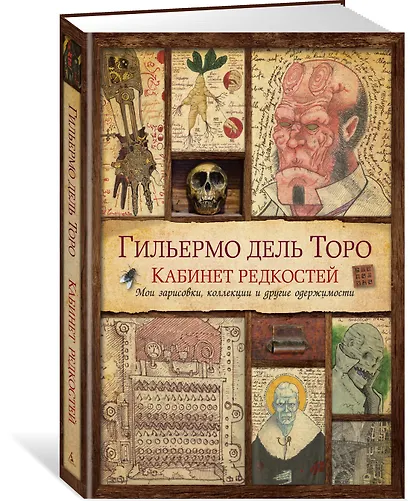 Кабинет редкостей. Мои зарисовки, коллекции и другие одержимости - фото 3