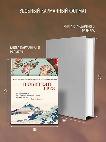 В обители грез. Японская классическая поэзия XVII - начала XIX века - фото 6