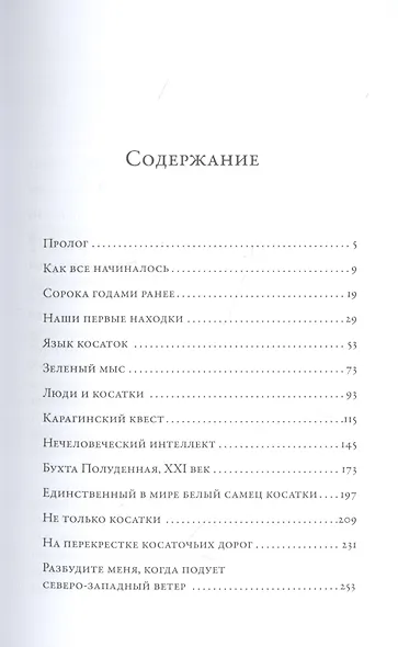 Облачно, возможны косатки - фото 2