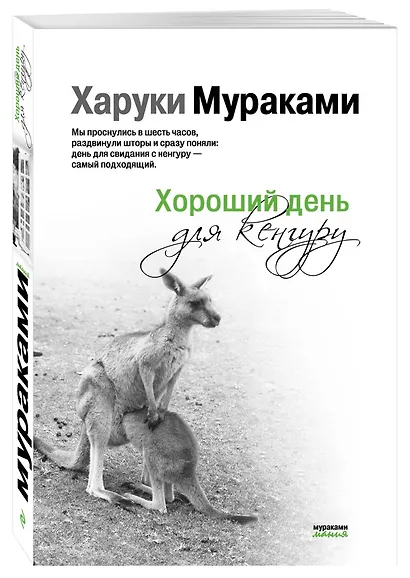 Хороший день для кенгуру - фото 3