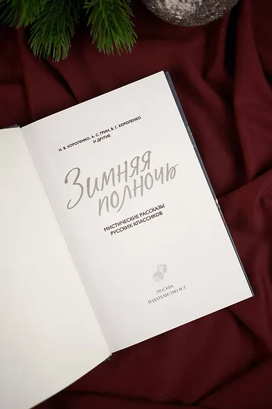 Зимняя полночь - фото 10