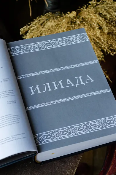 Илиада. Одиссея - фото 9