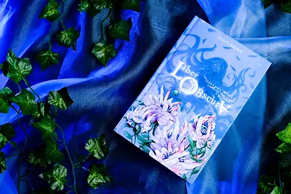Liber Obscura. Темная книга, Эрика и ее кошмарное приключение в двузначность - фото 12
