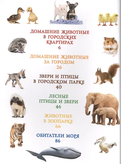 Моя первая книга о животных - фото 2