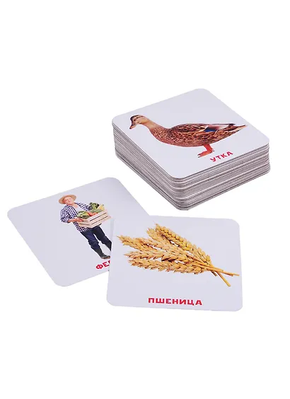 Умный Чемоданчик. На Ферме. 35 двусторонних карточек - фото 2