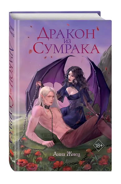 Дракон из сумрака - фото 3