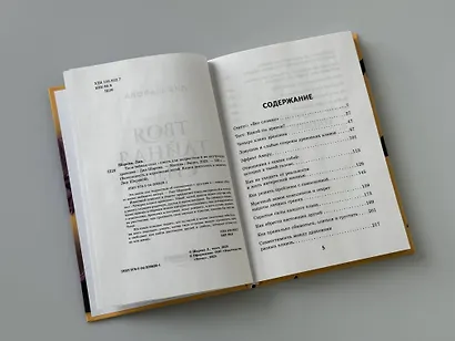 Твоя тайная сила. Книга для подростков и их внутренних драконов - фото 11