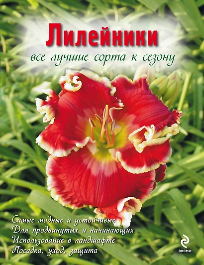 Лилейники. Все лучшие сорта к сезону (Вырубка. Цветы в саду и на окне) - фото 1